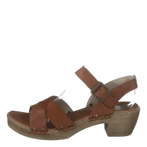 D6955-24 Muskat
